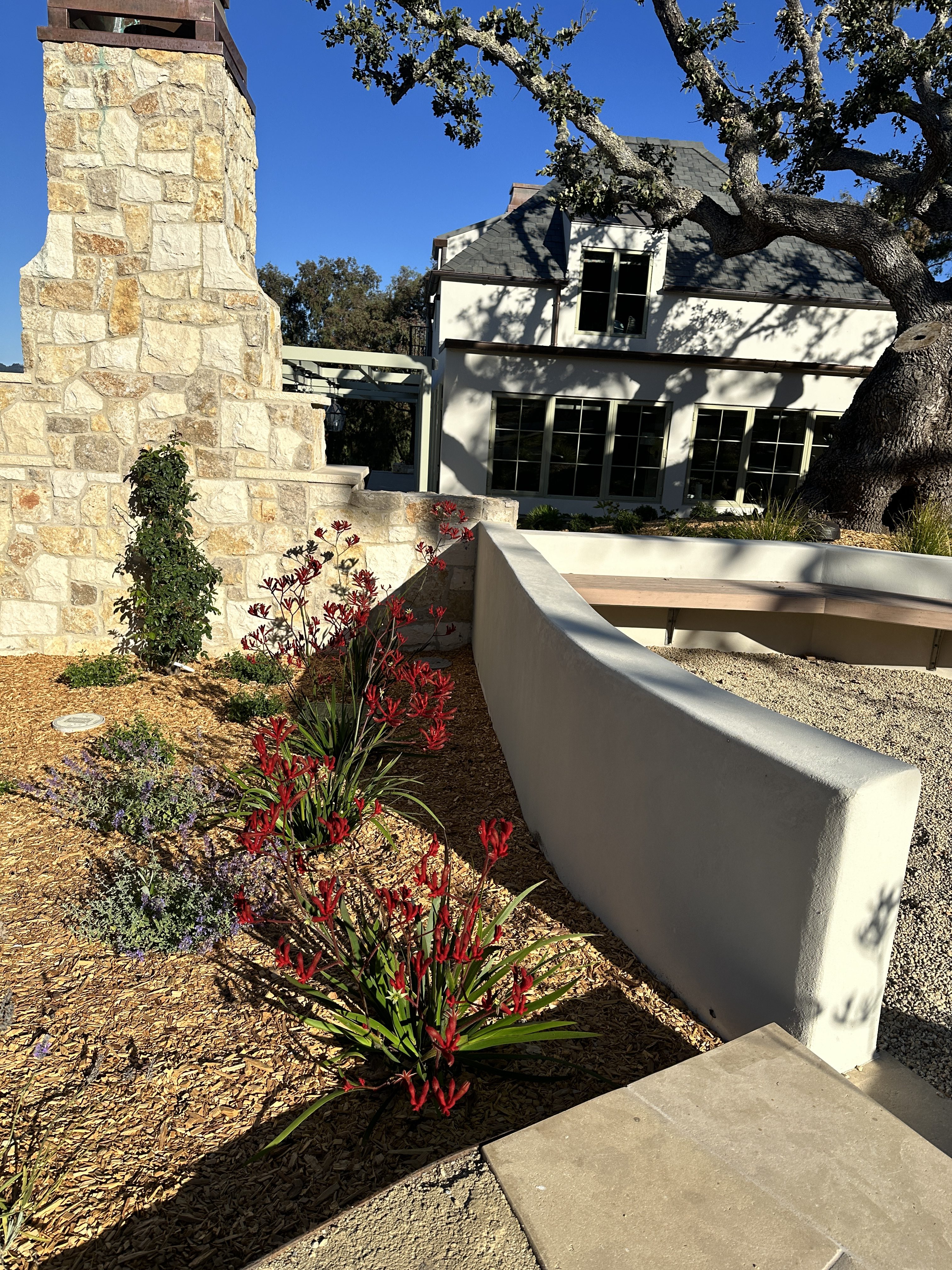 Encina Stone - plaster & plants back area