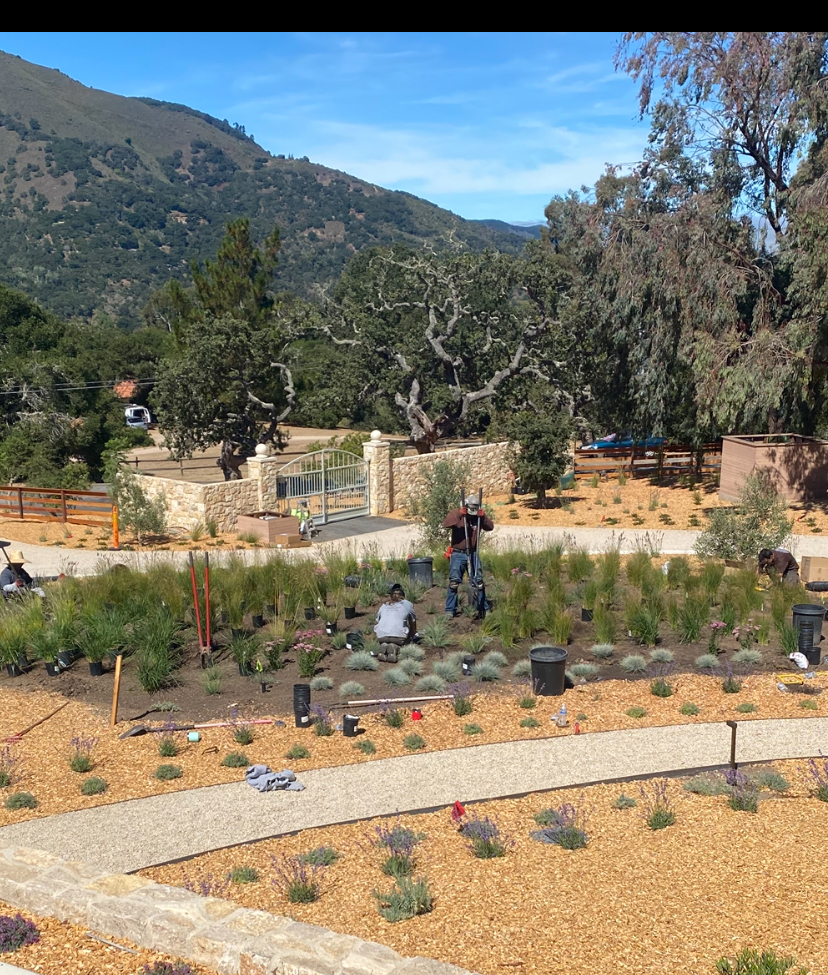 Carmel Valley Landscape